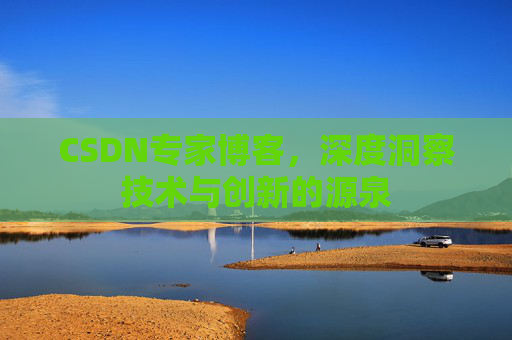 CSDN专家博客，深度洞察技术与创新的源泉